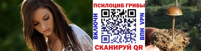 Купить закладки  Мещовск  Галлюциногенные грибы прущие грибы 